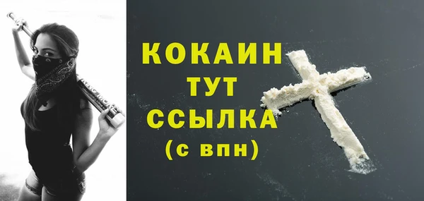 дживик Дмитровск
