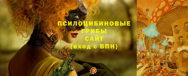 дживик Дмитровск